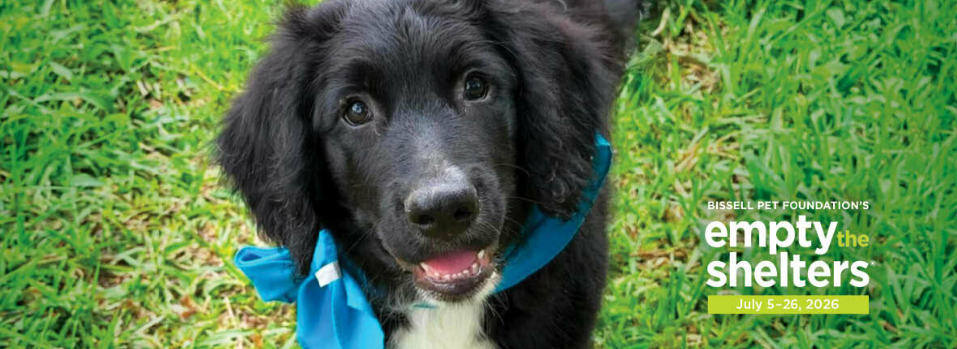 Bissel Empty the Shelters